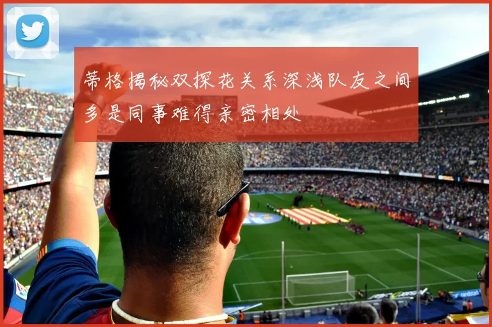 蒂格揭秘双探花关系深浅队友之间多是同事难得亲密相处