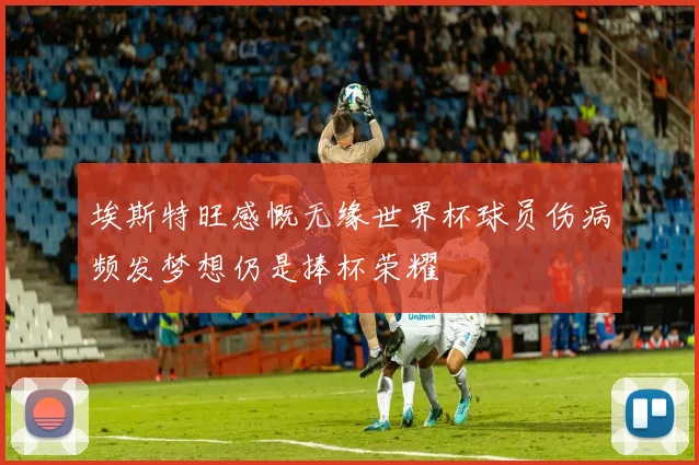 埃斯特旺感慨无缘世界杯球员伤病频发梦想仍是捧杯荣耀
